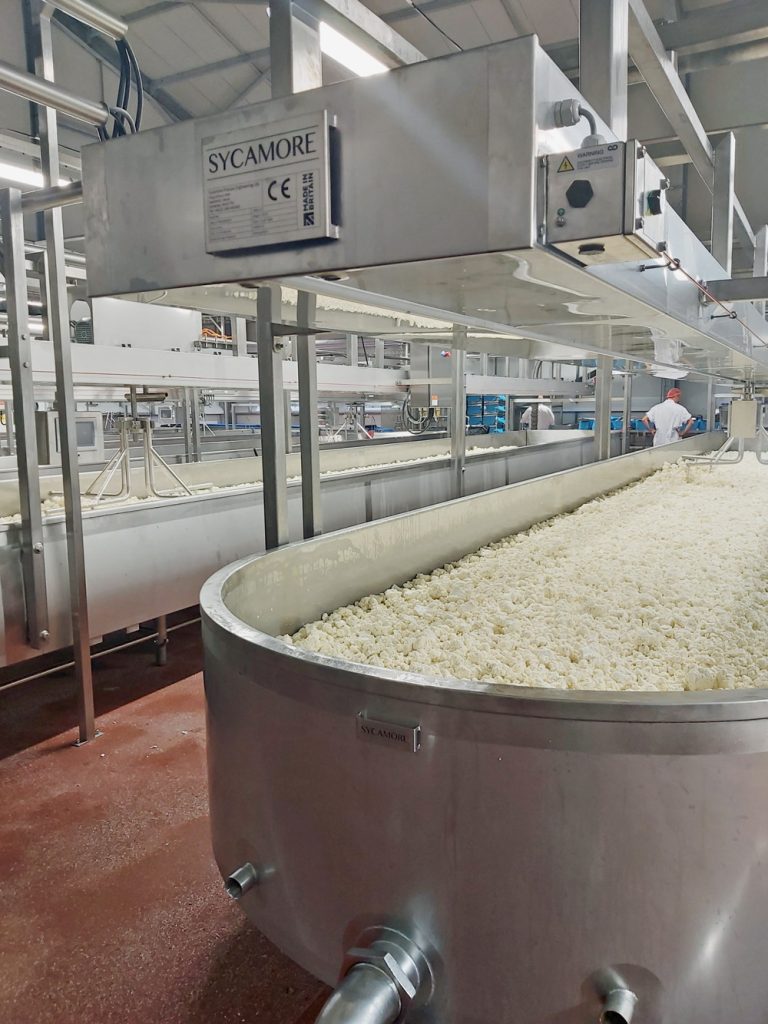 Open Curd Table, Whey draining table, Cheese Processing
