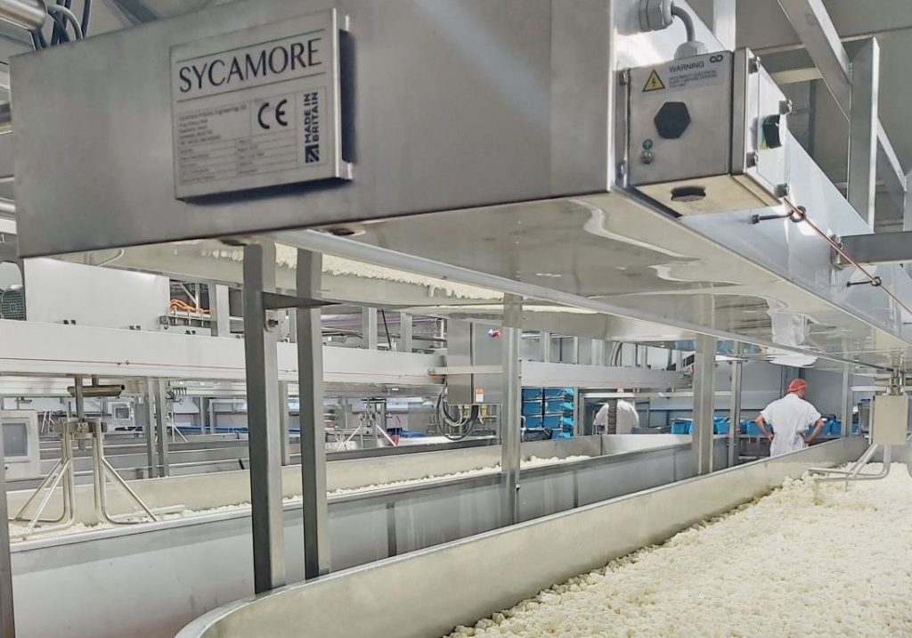 Open Curd Table, Cheese Industry